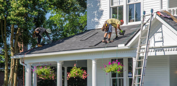 Best Gutter Installation and Repair  in Mount Hermon, VA